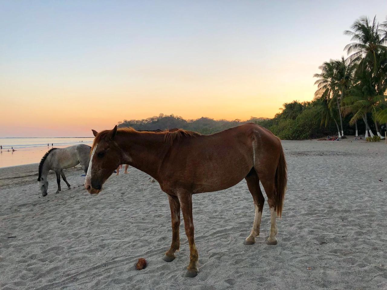 Macao Beach Sámara Zewnętrze zdjęcie