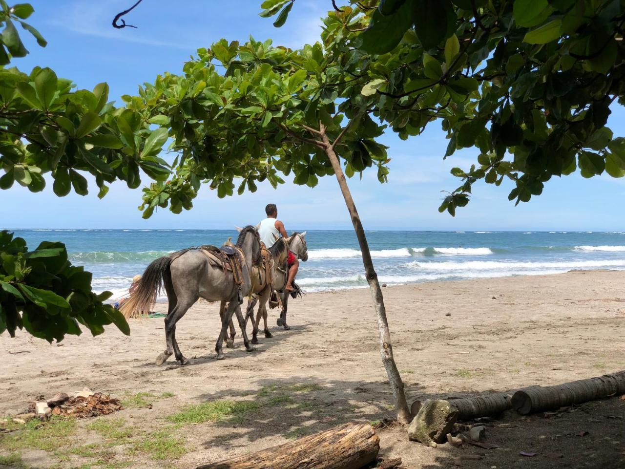 Macao Beach Sámara Zewnętrze zdjęcie